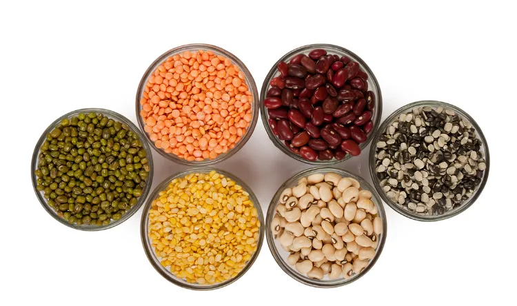 Premium quality pulses – Lentils, chickpeas, kidney beans, and mung beans, rich in protein and essential nutrients.