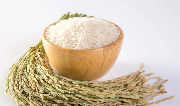 High-Quality Rices in UAE – Arab Gulf Flour Mill LLC